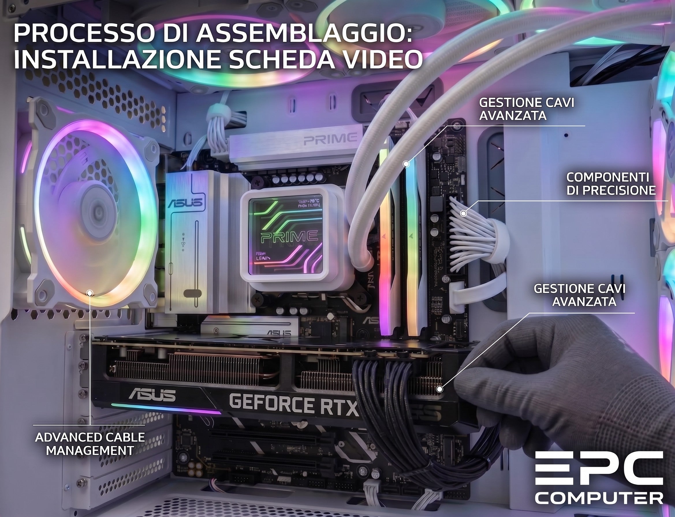 La scheda grafica e i suoi collegamenti, visti da vicino.